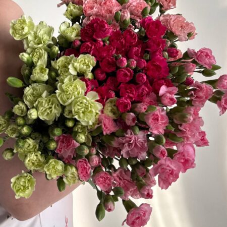 Гвоздика кустовая розовая (1шт) - изображение 6